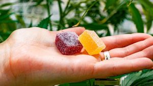 A Deep Dive into Delta 9 Gummies What Sets Them Apart?